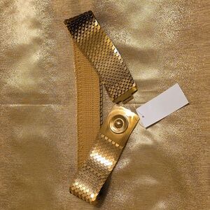 Gold-tone Fish Scale Elastic Belt, 23" To 35" Long, 1.75" Wide
